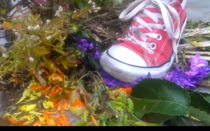 EP41 Girl crushes Plants and Flowers with red Converse 帆布鞋踩鲜花
