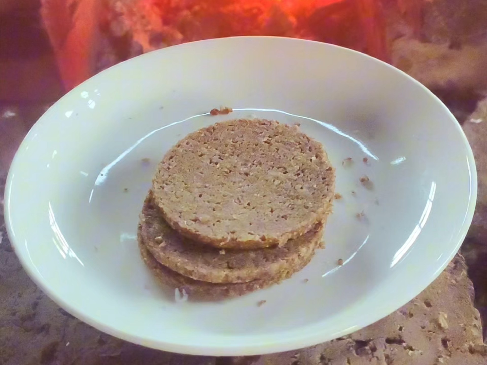 末日废土物资之黑面包罐头