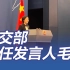外交部新任发言人毛宁正式亮相 回应西工大遭网络攻击