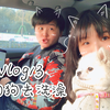 糖心的vlog13之周末带毛孩子去洗香香~洗完澡你还认识这两只狗子吗