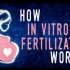 【Ted-ED】试管婴儿的原理 How In Vitro Fertilization (IVF) Works