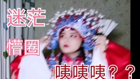 怎样看国际服抖音 d33b00b889b12a4a01d33519bbf22625ab214a55.jpg@280w_158h_1c_100q.jpg