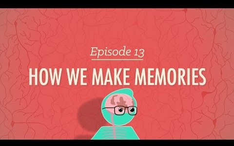 【10分钟心理学速成课】第13集 - 我们如何记忆