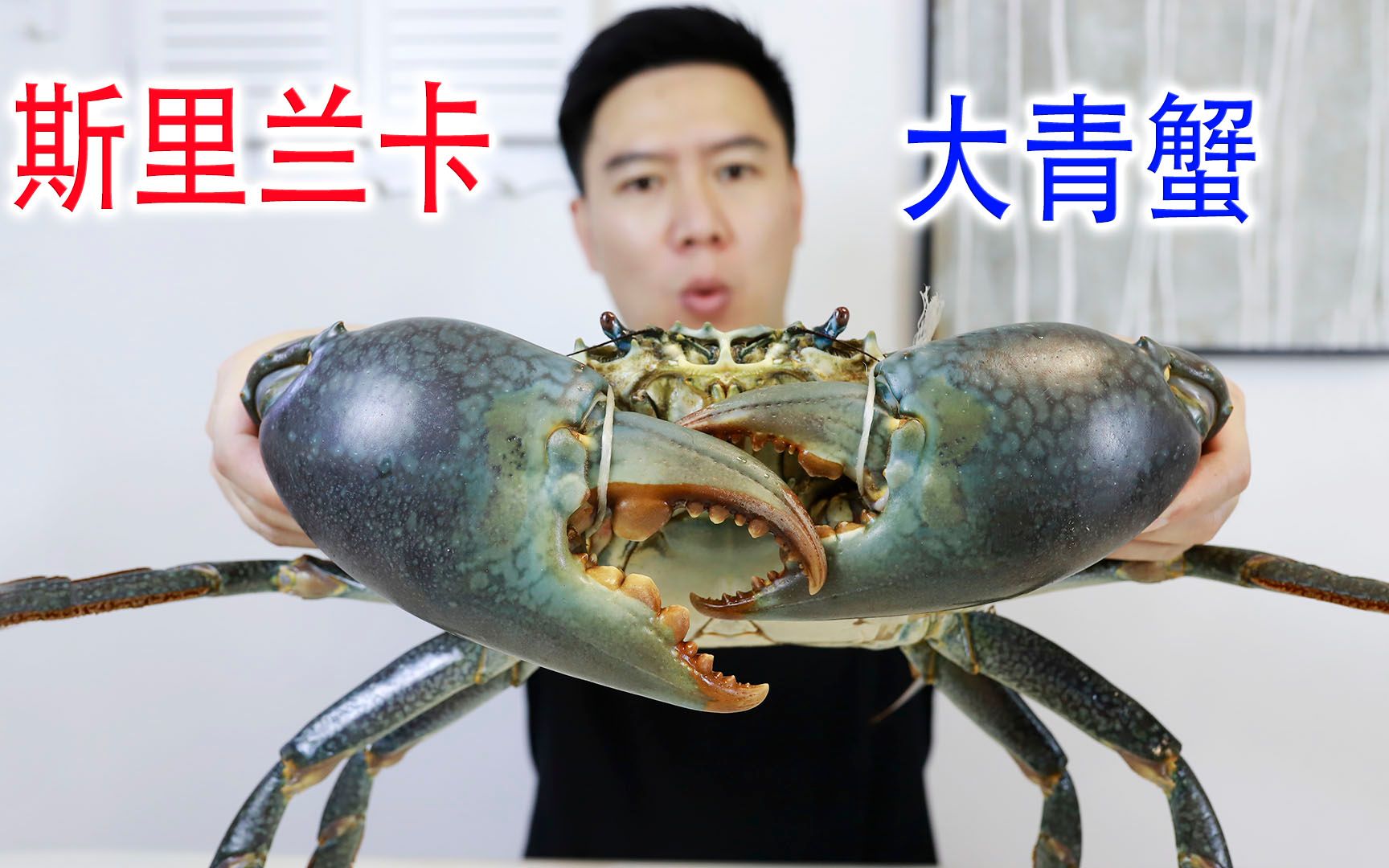 试吃斯里兰卡大青蟹，全网最大，钳子比胳膊还粗，非常霸气