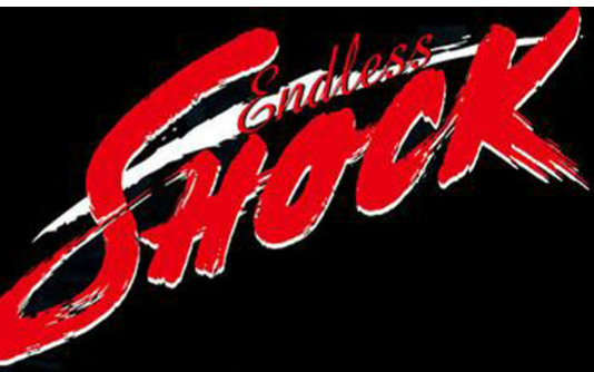 【堂本光一】endless shock 2005 中字