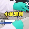 动物实验-小鼠灌胃