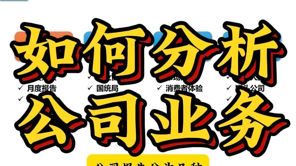 如何分析公司业务
