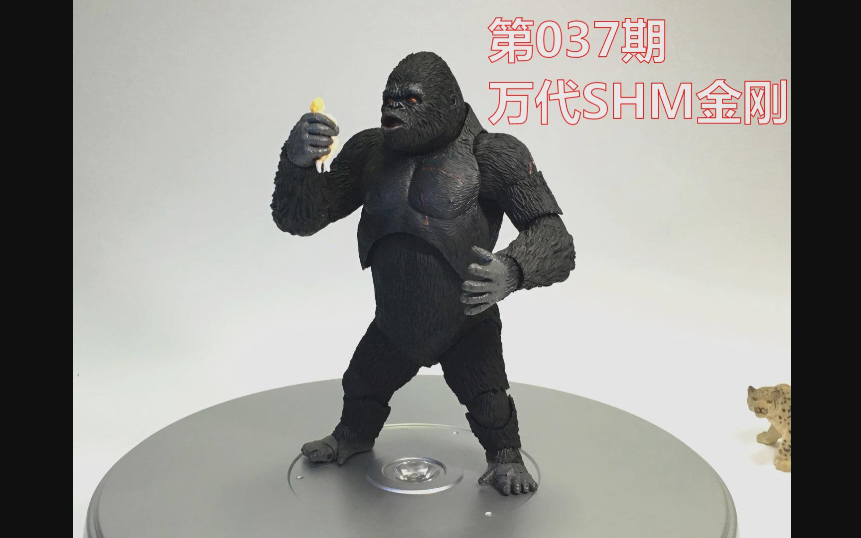 【初丁模玩分享037期】万代shm金刚