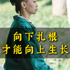 向下扎根，才能向上生长
