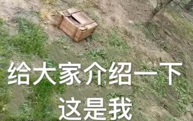 【绝地求生】吃鸡表情包哈哈哈哈哈!