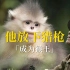云南靓崽——滇金丝猴，与一位老猎人的故事。