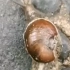 蜗牛：我会用尽一切奔向你！