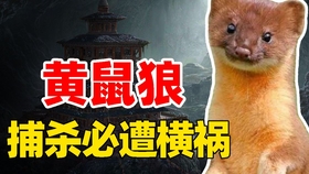 d3c9e6700b094c37f278616b510953c38210062c.jpg@280w_158h_1c_100q.jpg
