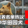 犬类禁养名单引热议！浅聊相关法律更新与问题