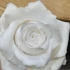 超轻粘土|粘土花白玫瑰教程