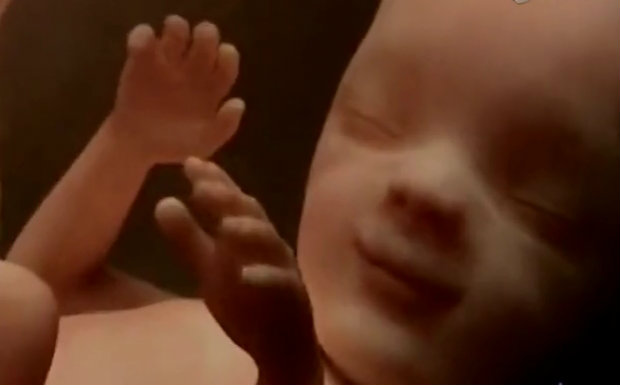 生命孕育的奇迹 12分钟展示从精卵到分娩
