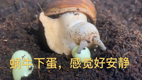 d4273ae7f290bd3a2a7c9d20bb5893e450c7e88f.png@280w_158h_1c_100q.jpg