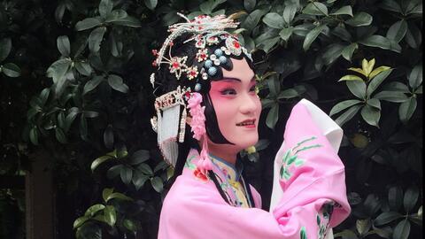 戏剧大全官网,戏剧大全官网在线观看