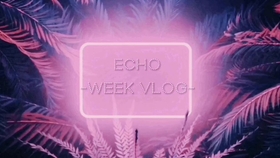 何二vlog最新的视频 d4449da12e641e50030b000d366eb750a4c84edf.jpg@280w_158h_1c_100q.jpg