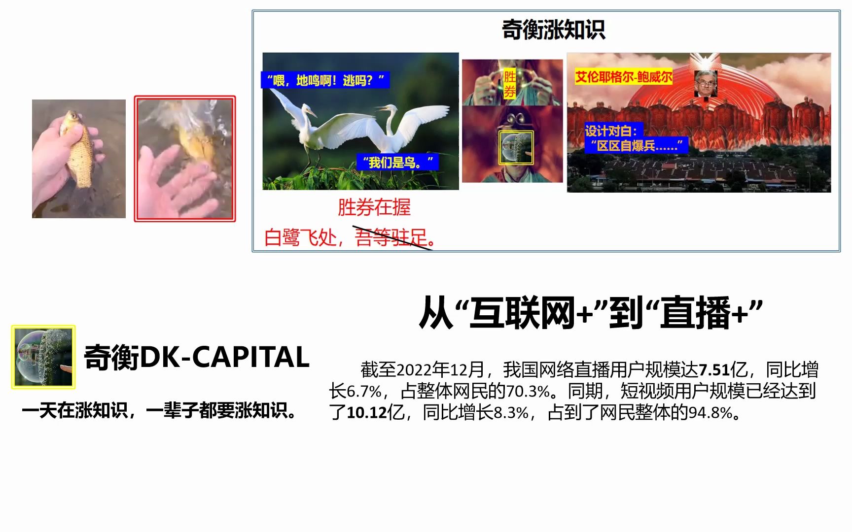 253 从“互联网+”到“直播+”