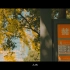 索尼A7c下的，深秋的芜湖赭山公园，太像电影里的场景了