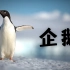 【迪士尼自然纪录片】企鹅.1080P.BD中英双字（又名：企鹅小萌萌）