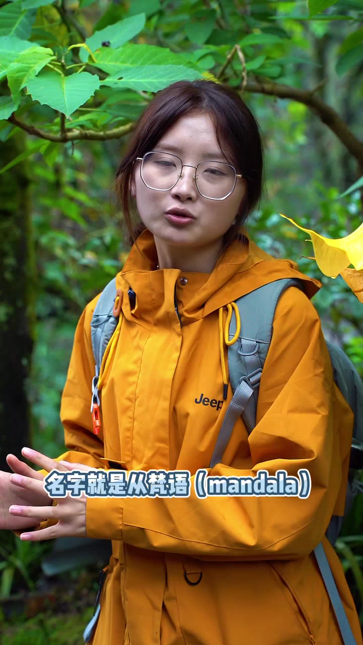 【黔山本草小师妹】更新啦，赶紧来围观吧！