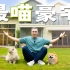 【艾说】上海独栋别墅水陆两通，竟是26只猫咪定制豪宅