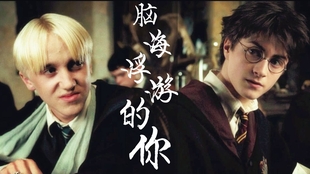 脑海浮游的你简谱_你吃的浮游生物(3)