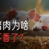 为什么现在的猪肉，吃起来没以前香了？