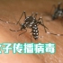 蚊子能传播病毒，为什么不把它灭种？科学家讲解蚊子有多好！
