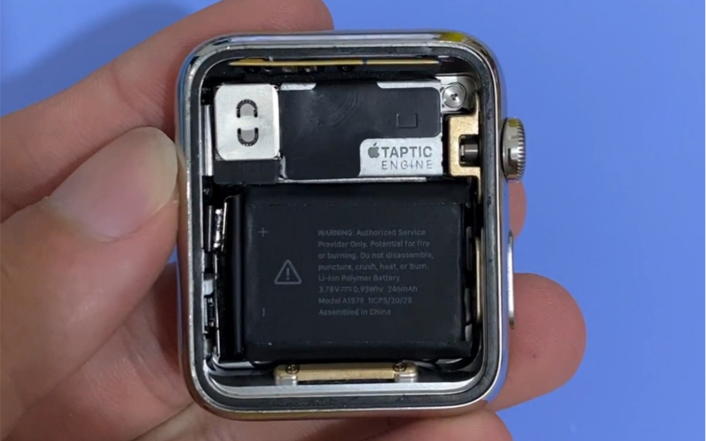 初代Apple Watch的内部结构-哔哩哔哩