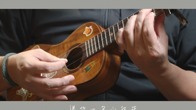 飞鸟和蝉曲谱图片_飞鸟和蝉拇指琴曲谱(3)