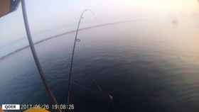d4c9e7099b010ccf91390191dbf94361e42f5bc3.jpg@280w_158h_1c_100q.jpg
