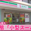 [双语字幕] 【小型スーパー】生鲜及冷冻食品种类丰富 罗森入局 新业态首店开业