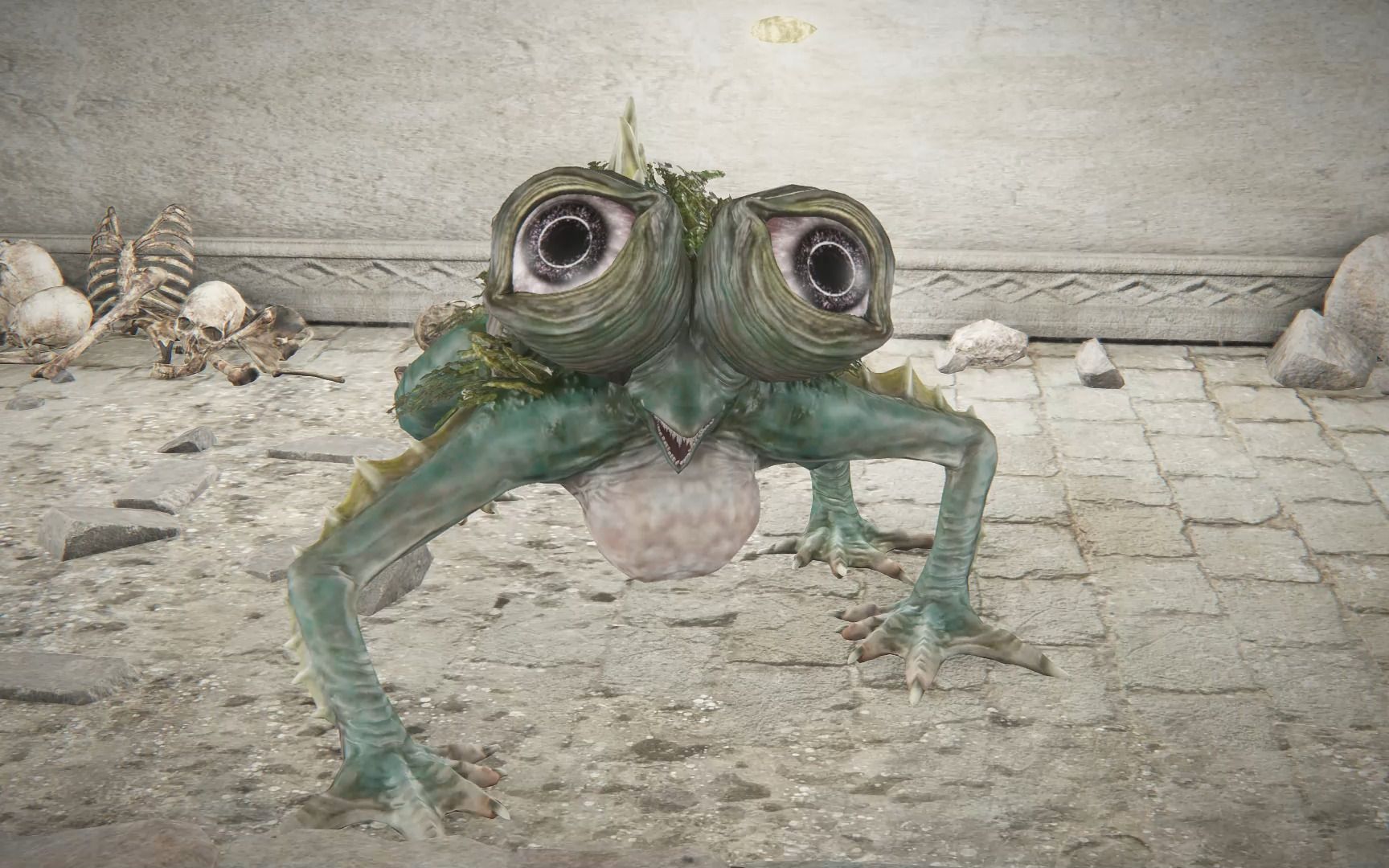 树蛙 青蛙 frog zbrush 3d模型|三维|人物/生物|3dcat82 - 原创作品 - 站酷 (ZCOOL)