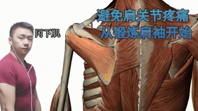 d4dfcb092cb0447d1275d3db32242d0d3c858ca1.jpg@280w_158h_1c_100q.jpg