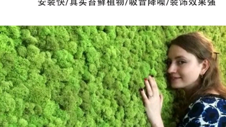 怎么养都不会死的植物--永生苔藓！ 永生苔藓  设计  商业空间设计  新型材料  植物背景墙