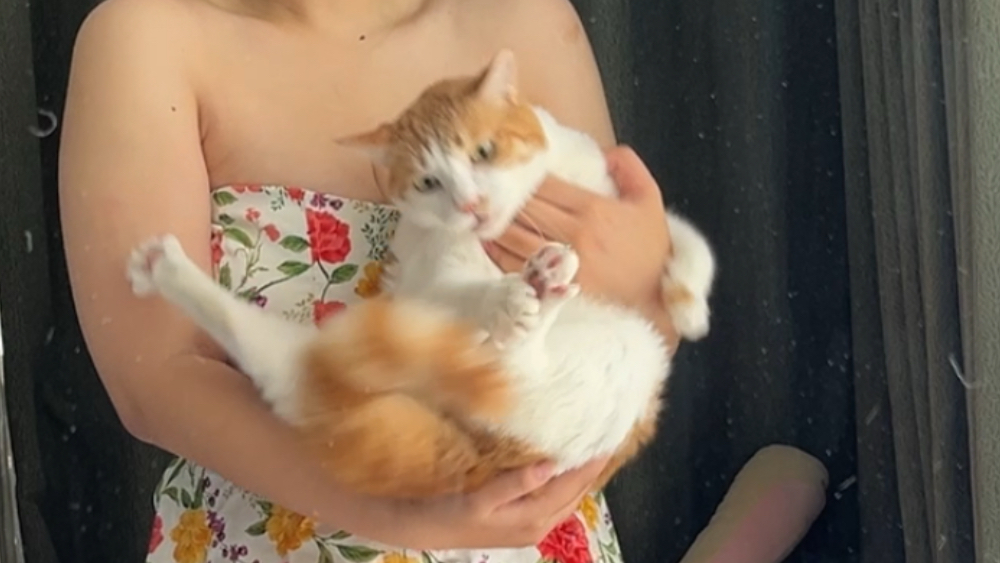 Will my feet turn into pearl milk tea if I wear holey shoes through the summer?