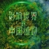 【全10集】自然科普纪录片《影响世界的中国植物》，让植物治愈你的焦虑