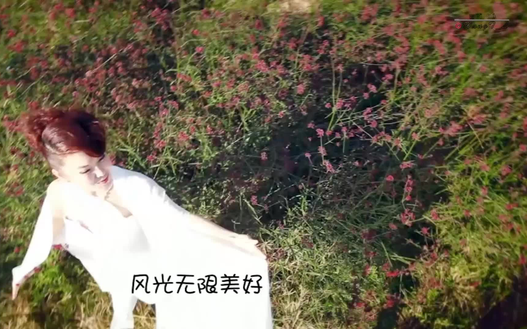 蒙古族之花乌兰图雅原香草mv