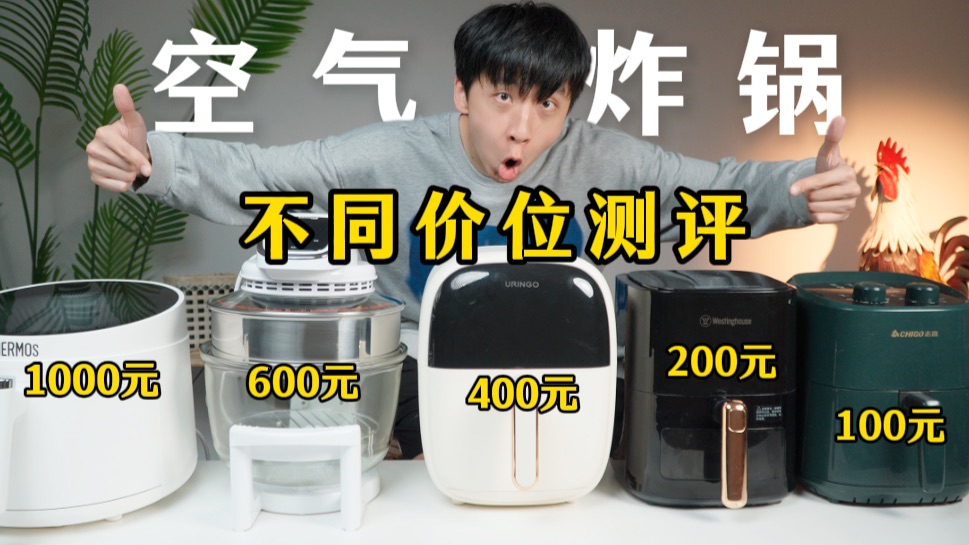 不同价位的空气炸锅，做出来的食物真的有区别吗？
