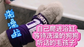 d50a162bd53ac42b56fe7211670cf087714562d9.jpg@280w_158h_1c_100q.jpg