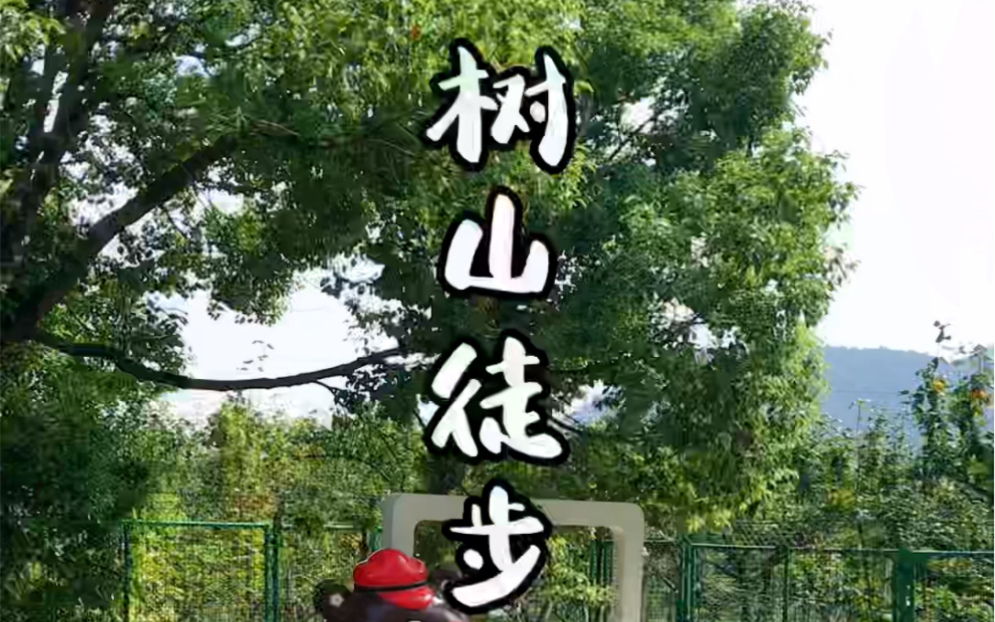 树山徒步旅行活动