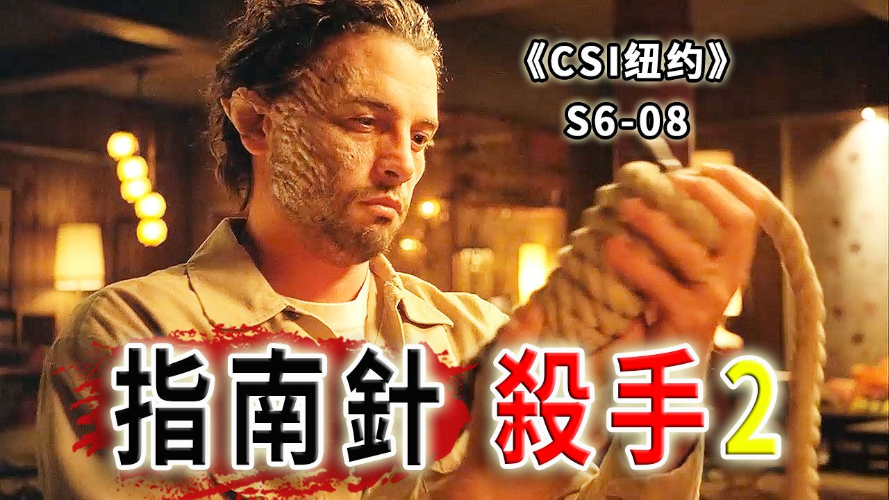 连环杀手的悲惨过去，成功人士家破人亡，患上精神分裂《CSI纽约》S6-08