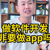 做软件开发 非要做app吗