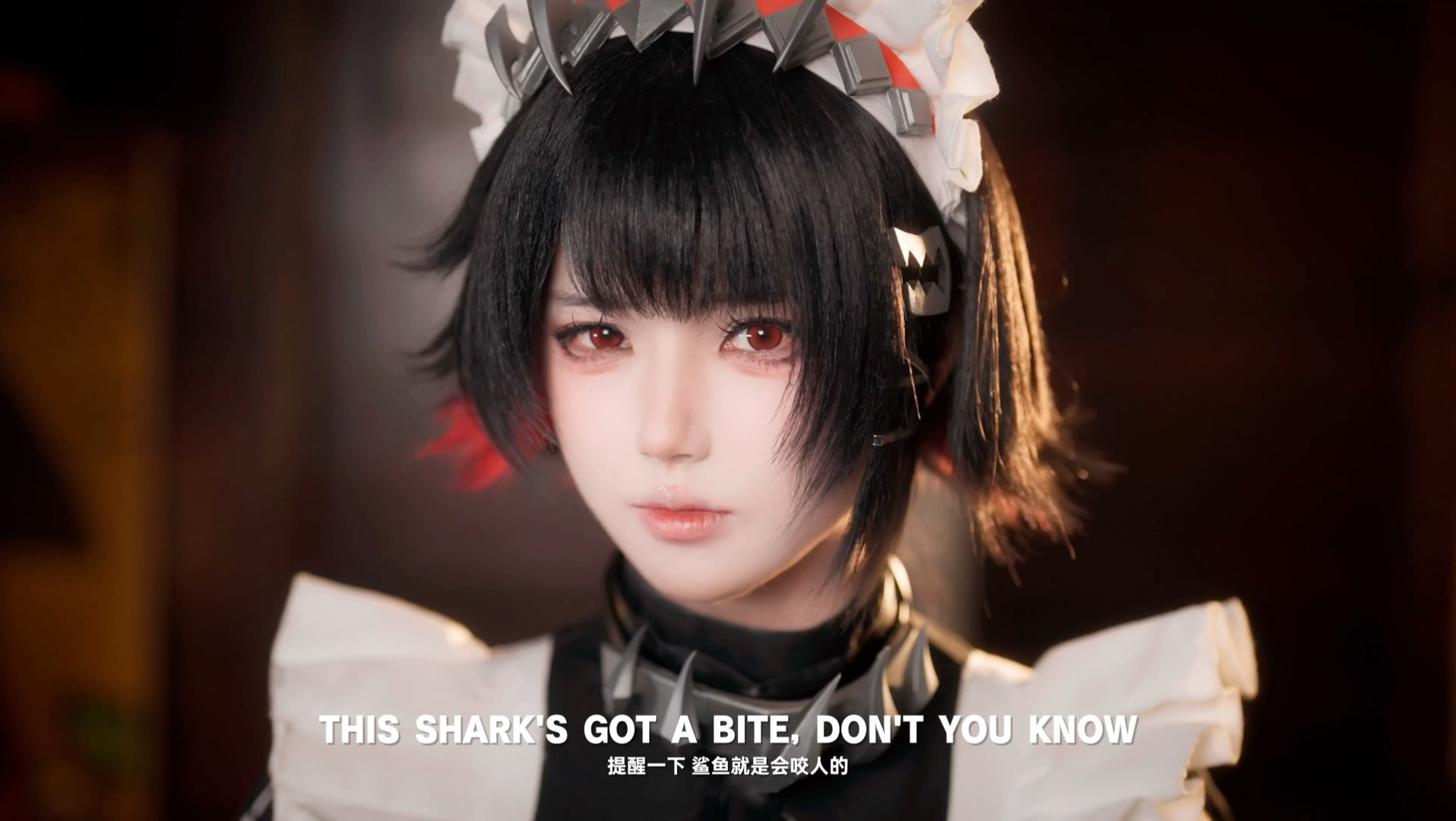 提醒一下 鲨鱼就是会咬人的