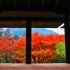 【NIPPON】 More beautiful Kyoto autumn in the world