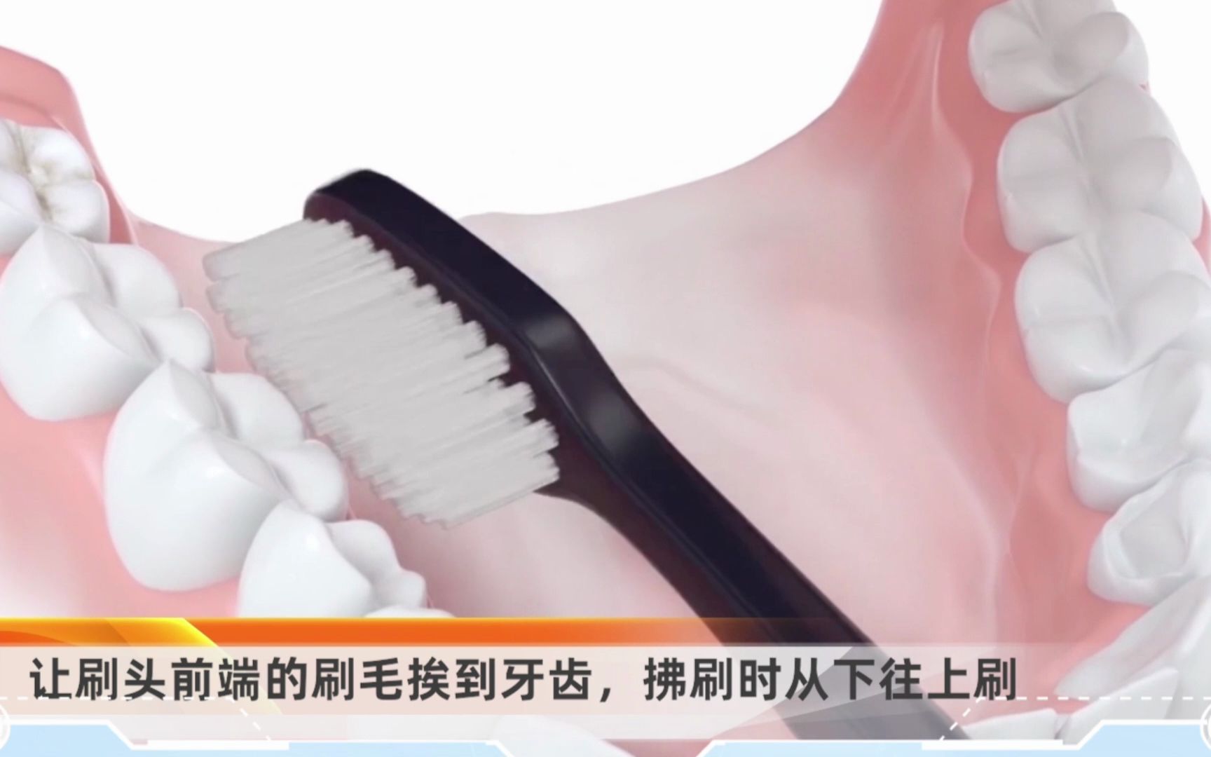 世界公认的刷牙教学视频，巴氏刷牙法高清完整版