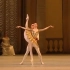 莫斯科大剧院 Z娃Svetlana Zakharova和Denis Rodkin的一段芭蕾帕基塔的慢板